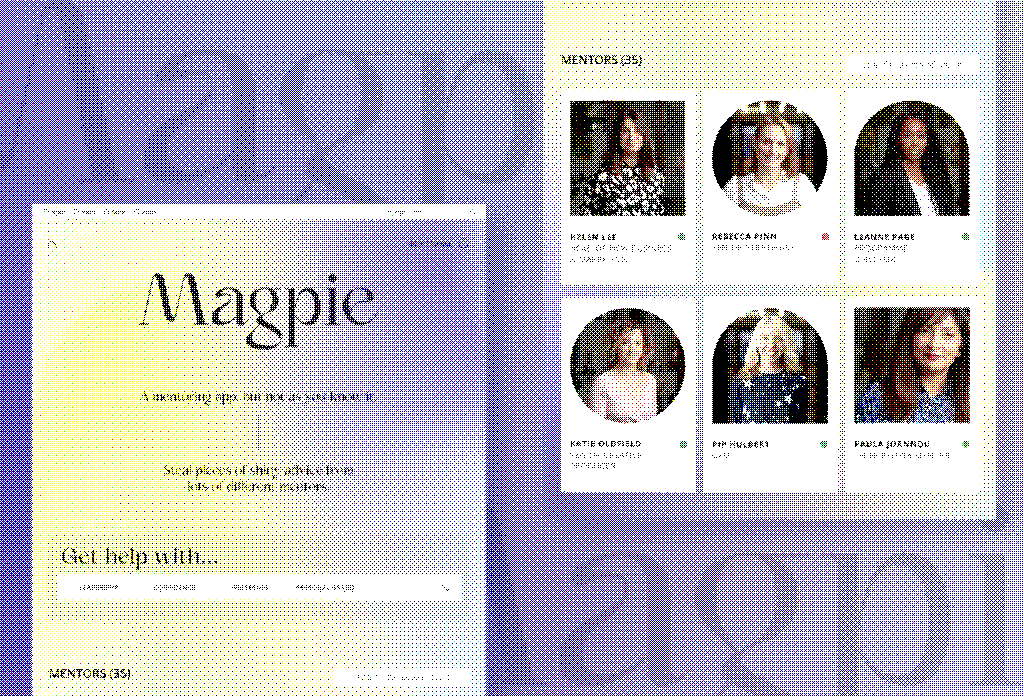 The Magpie mentorship app